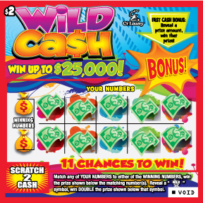 WILD CASH image