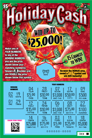 HOLIDAY CASH rollover image