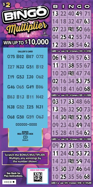 BINGO MULTIPLIER rollover image