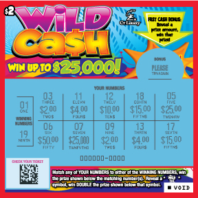 WILD CASH rollover image