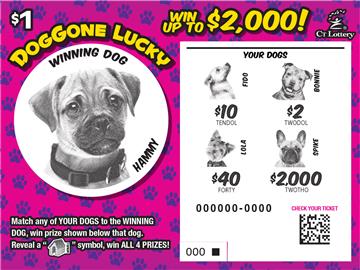 Doggone Lucky rollover image